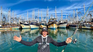 Pesca de Orilla en el Puerto de Mazatlán! | Pargo, Robalo y más!