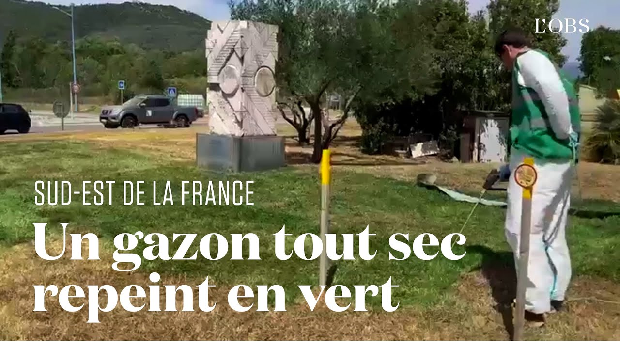 Mandelieu-la-Napoule fait peindre sa pelouse en vert