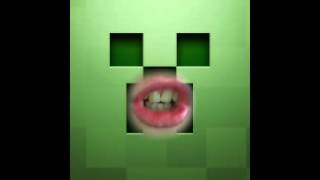 MineCraft Talking Creeper screenshot 5