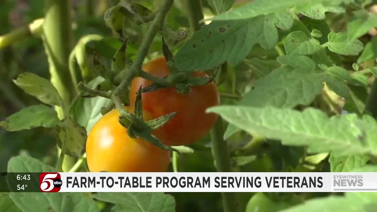 Veterans grow produce for successful farm-to-table program in Hastings