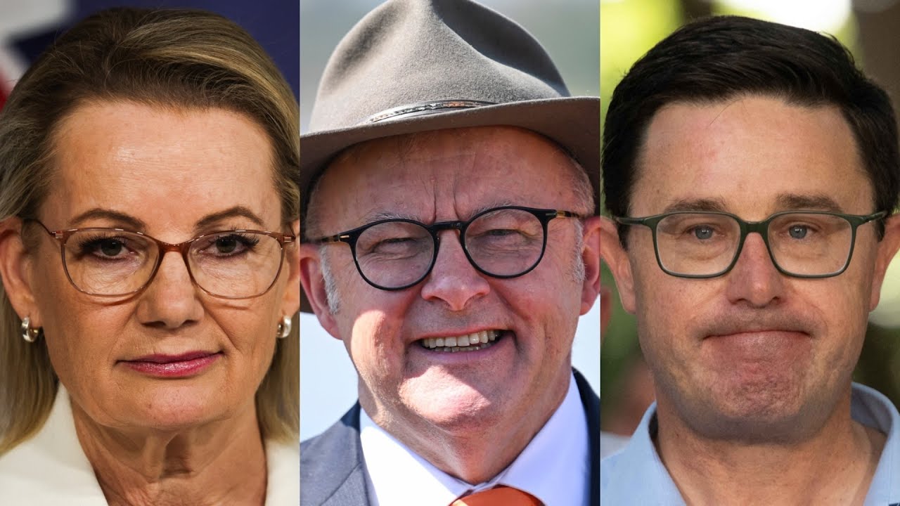 ‘Fighting like cats in a bag’: Coalition walks into Albanese’s ‘bear trap’