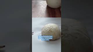 Can You Believe Mushrooms Can Do This 🍄 #mushroom