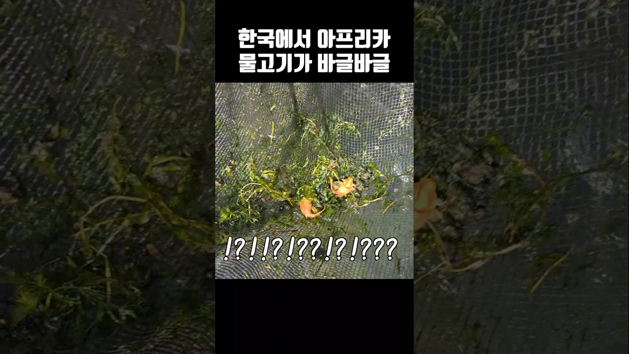 상상 초월 결과..진짜맞아?