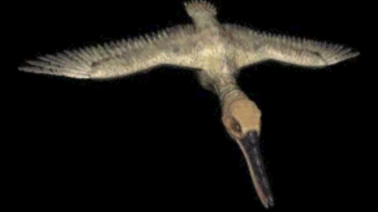 Disney's Ichthyornis (COMPLETE Sound Effects)