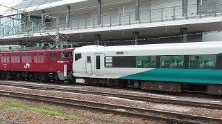 2020年6月25日　上越国境をめざす貨物列車(EH200-16牽引)と、交流直流両用電気機関車EF81 134に牽引されて、はるばる秋田からやってきたE257系 NA-03編成 配給列車　JR高崎駅