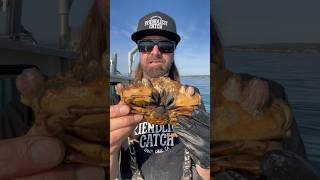 Barnacle Chronicles #friendliestcatch