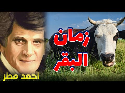 زمن البقر قصيدة نحن شعب الأبقار الحاكمة والمحكومة أحمد مطر
