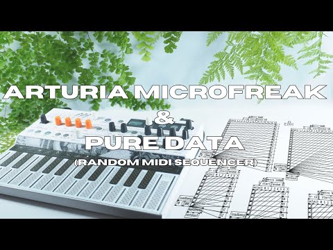 Arturia Microfreak & Pure Data (Random MIDI Sequencer)