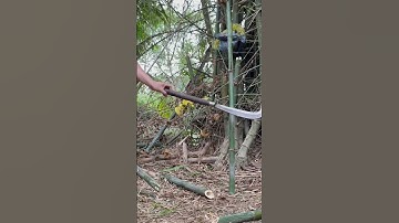 Tôi làm con dao quắm phát rẫy bằng thép vòng bi xe tăng chặt cây tre như chặt chuối vậy