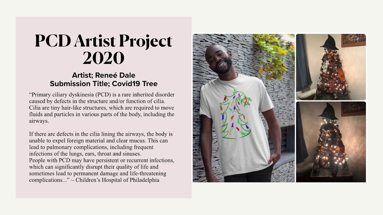 PCD Smiles Artist Project