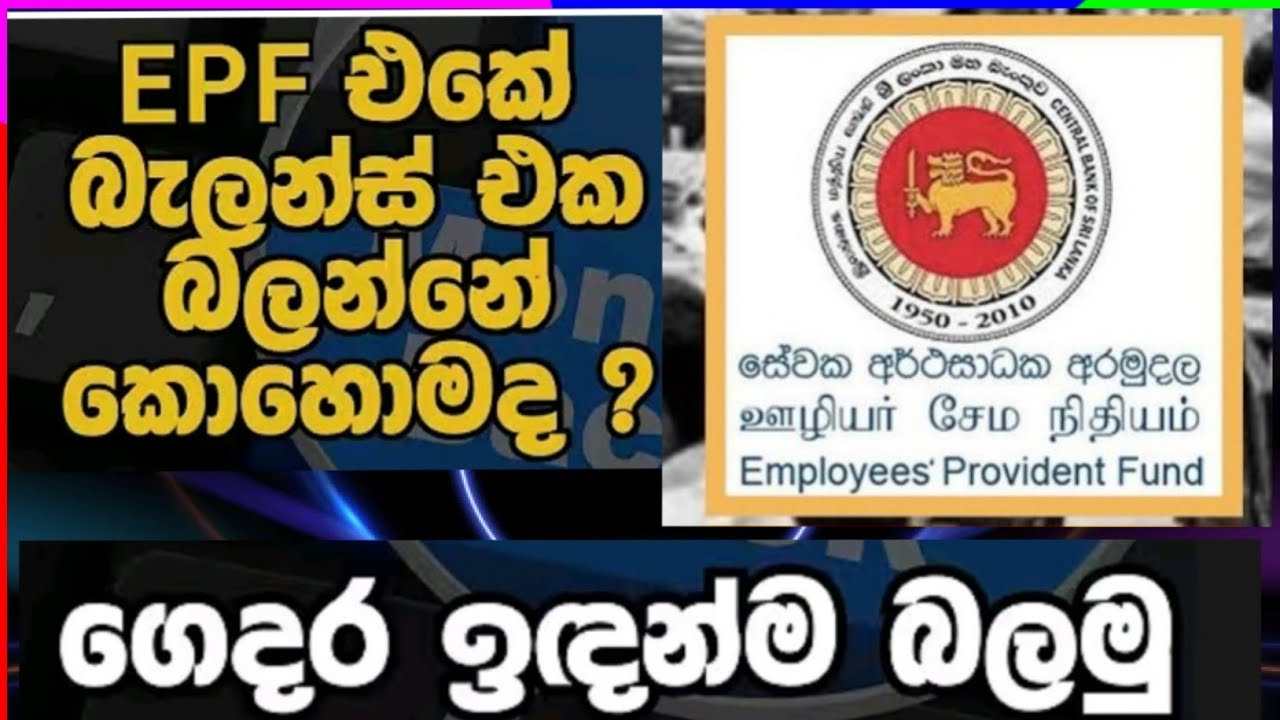 Check your EPF Account Balance Online|Sinhala|ඔයාගේ සේවක අර්ථසාධක අරමුදල ඔන්ලයින් බලමු  
