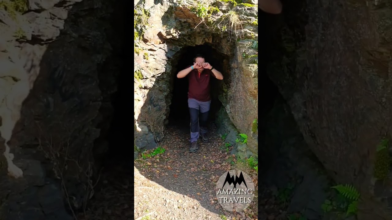 Searching for bears in Prague Divoka Sarka! 