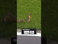 We can confirm that this squirrel’s credential has been revoked 😅 #NASCAR #TexasMotorSpeedway