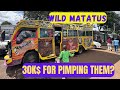 Nairobi’s Wild Ride: The Matatu System and the Future of African Transit - C1M4E1