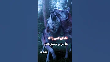 ۲۹ اکتبر ۲۰۲۳ 