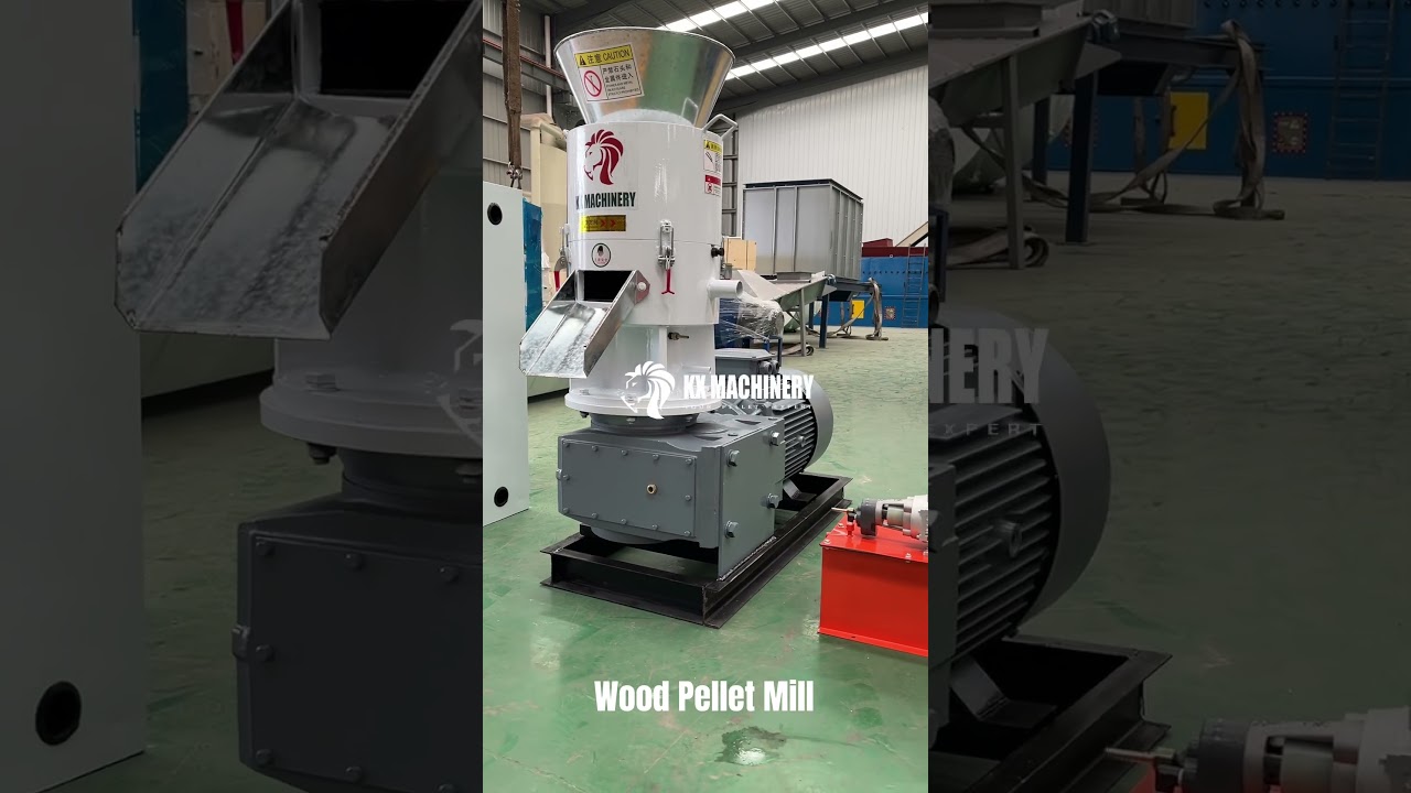 Biomass Wood Pellet Machine for Sale Wood Sawdust Pellet Mill 