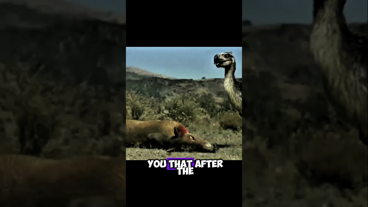 The Terror Bird: The Predator That Ruled After Dinosaurs | 