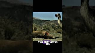 The Terror Bird: The Predator That Ruled After Dinosaurs | #legendaryfauna #facts