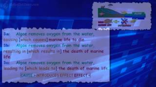 Essential Language Structures: 2 -  Marine Pollution (Cause and Effect)