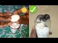 Glass incubator // How to make an egg incubator step by step - Sunlight incubator