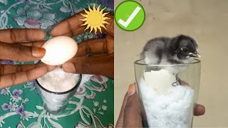 Glass incubator \/\/ How to make an egg incubator step by step - Sunlight incubator