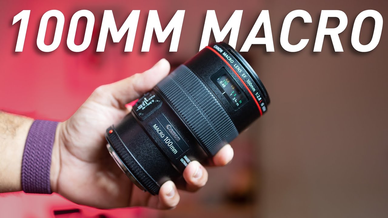 Canon 100mm f2.8L Macro: My Favorite Lens! - YouTube