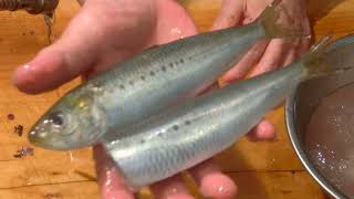 真鰯の刺身・・・・《真鰯刺身（リハビリ編)》