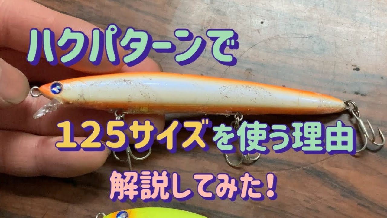 シーバスのハクパターン】で125サイズを使う理由を解説してみた
