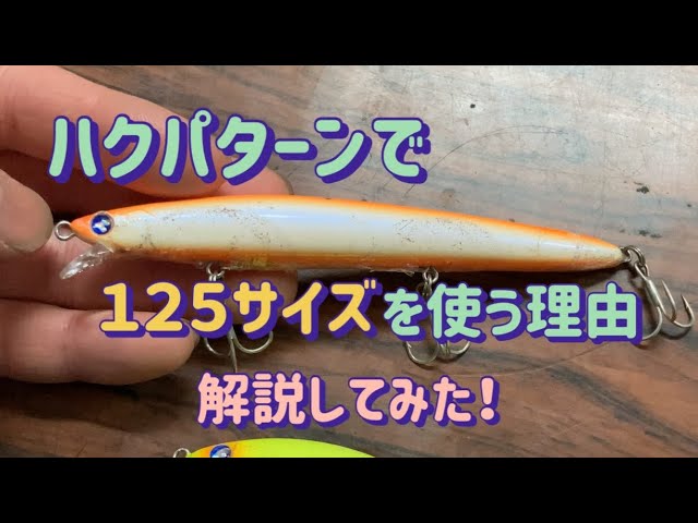 シーバスのハクパターン】で125サイズを使う理由を解説してみた