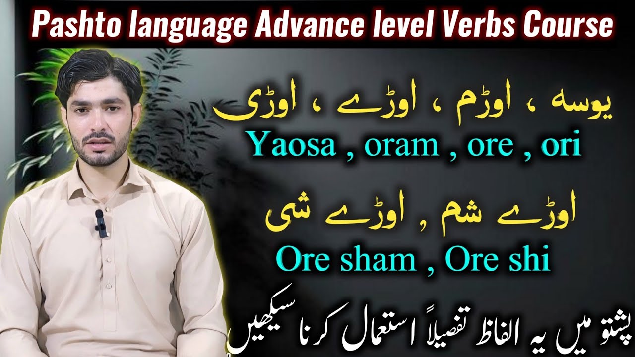 Pashto Verbs practice for fluency | Pashto language All tenses | Pashto beginners to advance level 💯
