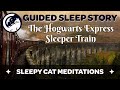 The Hogwarts Express Sleeper Train - A Guided Sleep Story - Inspired by Harry Potter