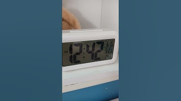 TIME IS GOLD , AMAZING CLOCK #clock #time #shorts #viral #trending #video #cute