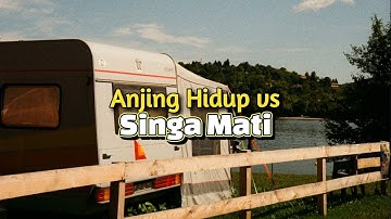 Anjing Hidup Vs Singa Mati - Renungan dan Doa Pagi 18 Oktober 2025