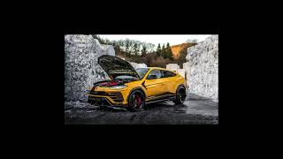 Top 5 best modified Lamborghini Urus #ytshorts #viral #car