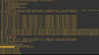 OpenShift Web Application