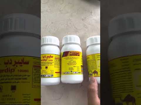 الجاره هل لها فترة تحريم في الحليب أو اللحوم 