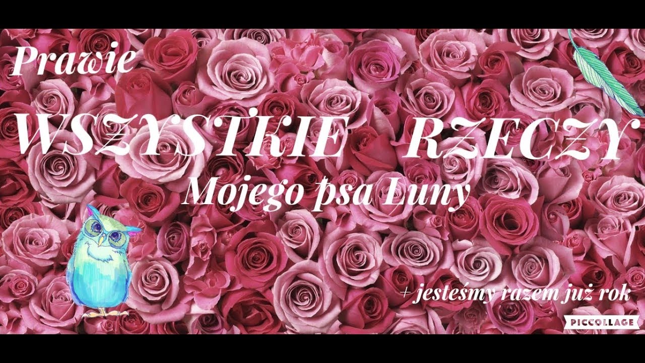 Wszystkie rzeczy mojego psa  | sierpień2018