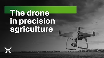 The drone in precision agriculture - DroneXperts