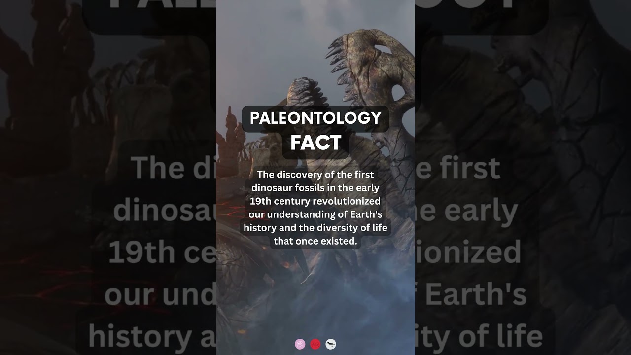 First dinosaur fossils | 