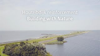 Houtribdijk Reinforcement Building With Nature
