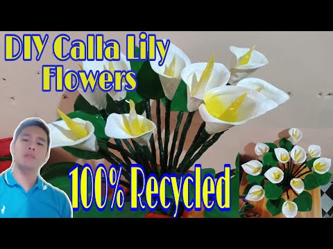 ვიდეო: რატომ არის Calla Lilies სიკვდილის ყვავილები?