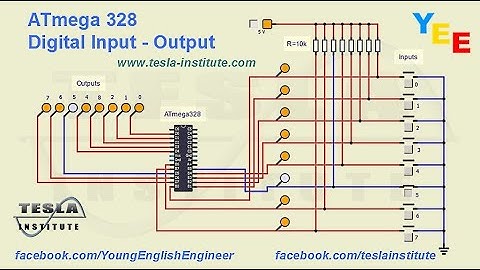 ATmega 328 Digital Input - Output