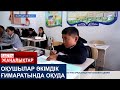 ОҚУШЫЛАР ӘКІМДІК ҒИМАРАТЫНДА ОҚУДА