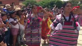 Flor De Piña 🍍 Sedena Y Ejército Mexicano