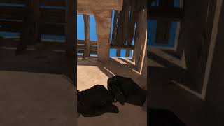 💥😵 TUNNELS FLASH THAT CLEARS B SITE ON DUST II #cs2 #counterstrike2 #dust2 #bagunxa