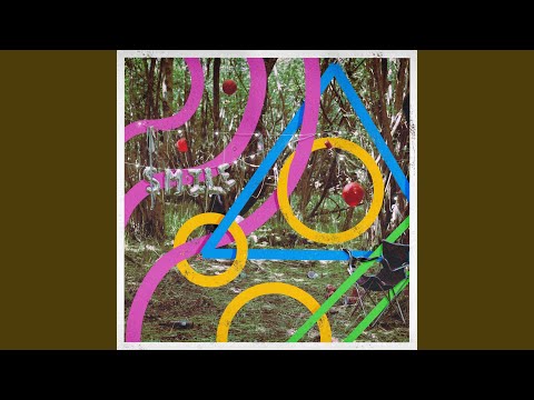 Confidant - Bears In Trees