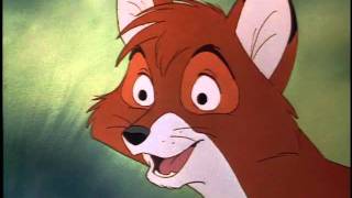 Tod the Fox - You Know I Will Profile