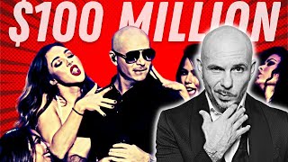 A Day In The Life Of Pitbull Mr. 305