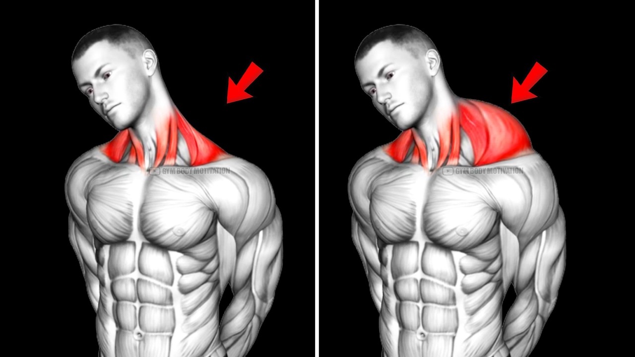 6 Trap-Building Secrets That Finally Gave Me a Powerful Upper Body