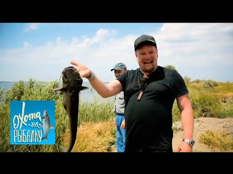 Сом и сазан. "Охота на рыбалку" с Вилле Хаапасало 🌏 Моя Планета